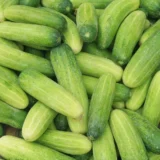 bag of cucumber