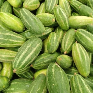 bag of pointed gourd