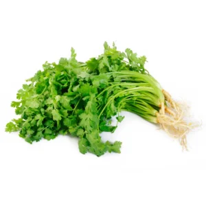 coriander
